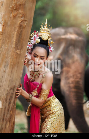 Hübsches Thai Mädchen in traditionellen thailändischen Kostümen berühren, um einen Baum mit Elefanten Hintergrund Stockfoto