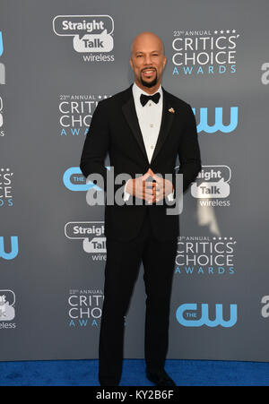 Santa Monica, Kalifornien, USA. 11 Jan, 2018. Bei der 23. jährlichen Critics' Choice Awards bei Barker Hangar, Santa Monica Bild: Sarah Stewart Credit: Sarah Stewart/Alamy leben Nachrichten Stockfoto