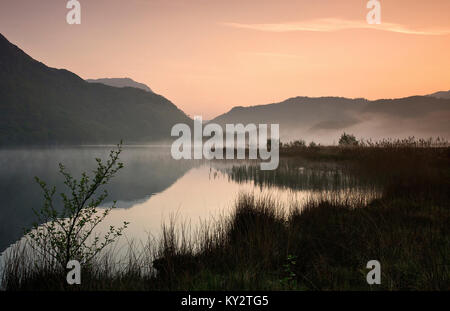 Baum Silhouette in der Dämmerung des schönen Llyn Dinas ein See in der Nantgwynant Tal Snowdonia National Park in Nordwales Gwynedd UK, späten Frühling. Stockfoto