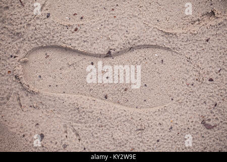 Aufdruck Fußabdrücke auf dem nassen Sand, in der Nähe Stockfoto