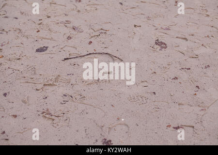 Aufdruck Fußabdrücke auf dem nassen Sand Stockfoto