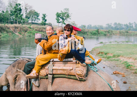 Asiatische Elefanten im Chitwan Nationalpark im Süden Nepals. Stockfoto