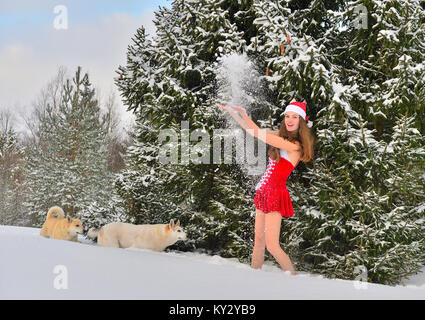 Hunde und junge Santa - Mädchen in Rot mit Christbaumschmuck im Tannenwald. Stockfoto