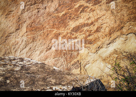 Echten Felszeichnungen mit Kühen in der gobustan Nationalpark, Aserbaidschan Stockfoto