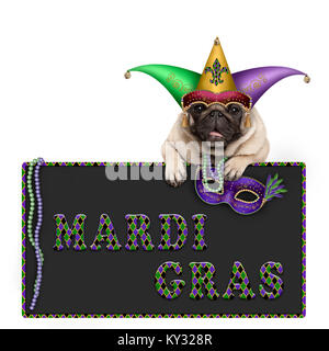 Mardi gras Mops Hund mit Karneval hat, Perlen und venezianische Maske hängen auf blackboard Schild mit Text auf weißem Hintergrund Stockfoto