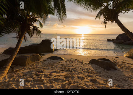 Sonnenuntergang über tropischen Strand mit Palmen und Segelboote am Horizont, Mahé, Seychellen Stockfoto