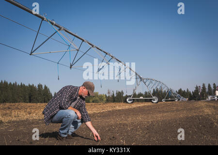 Landwirt Kontrolle fruchtbarem Boden in das Feld Stockfoto