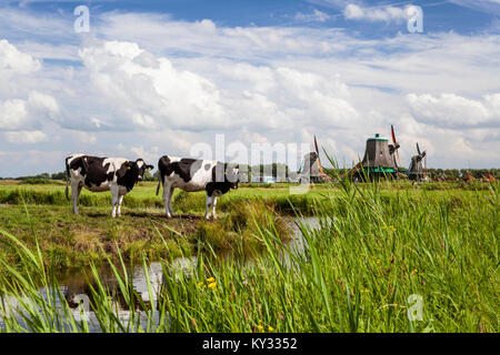 Zaanse Schans. Historische Stadt in Nordholland mit Open-air Museum. Die Windmühlen, Stockfoto