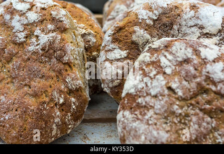 Italienische Vollkornbrot typische des Trentino Alto Adige (Südtirol). Traditionelle Brot mit Walnüssen und Fenchel Samen. Stockfoto