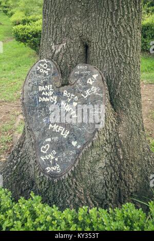 Baum geschnitten in Herzform mit Liebe Phrasen. Stockfoto