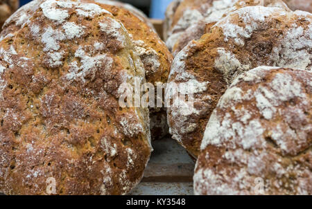 Italienische Vollkornbrot typische des Trentino Alto Adige (Südtirol). Traditionelle Brot mit Walnüssen und Fenchel Samen. Stockfoto