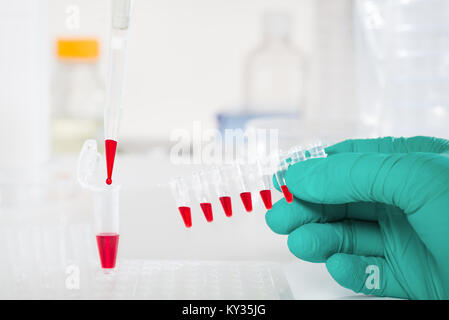 Kunststoffrohre mit roten Proben für PCR-DNA zu analysieren Stockfoto