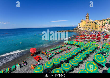 Camogli Italien - Menschen am Strand zu entspannen und die Basilika Santa Maria Assunta im Hintergrund Stockfoto