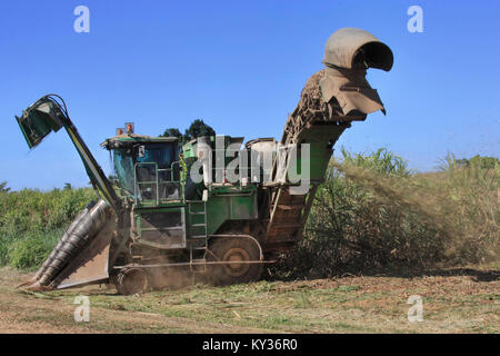 Cairns Blick auf Zuckerrohr harvester Fertig, Zuckerrohr zu schneiden Stockfoto