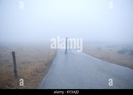 Eine Gruppe von Menschen zu Fuß hinunter eine Straße zwischen zwei Felder im dichten Nebel Stockfoto