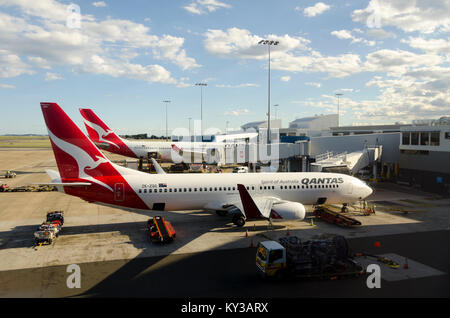 Qantas Flugzeug in Sydney Kingsford Smith Flughafen, New South Wales, Australien Stockfoto