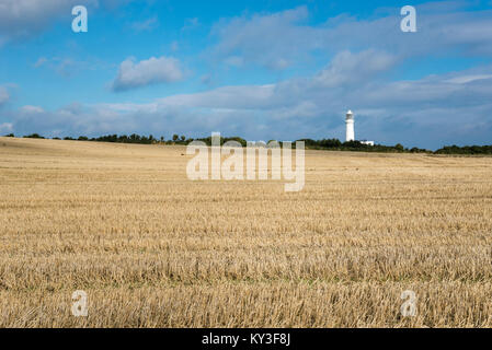 Flamborough Leuchtturm an einem sonnigen Tag im September, North Yorkshire, England. Stockfoto