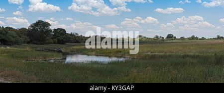 Linyanti Sümpfe an der Grenze zu Botswana, Namibia Stockfoto