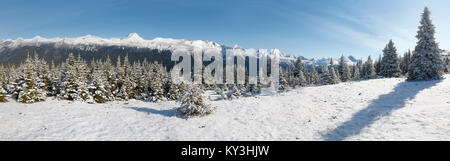 Die schneebedeckten Berge und Bäume am kahlen Hügel im Jasper National Park, Alberta, Kanada. Stockfoto