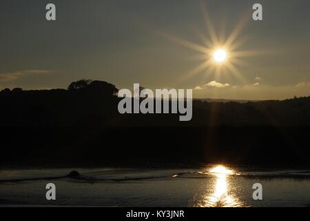 Sonnenuntergang über dem bewaldeten Winter Farmland der Powderham Immobilien, Silhouetting Bäume in der Dämmerung. Vom Rasen Hotel, Exe Estuary, Devon, Großbritannien. Stockfoto