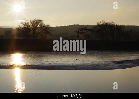 Sonnenuntergang über dem bewaldeten Winter Farmland der Powderham Immobilien, Silhouetting Bäume in der Dämmerung. Vom Rasen Hotel, Exe Estuary, Devon, Großbritannien. Stockfoto