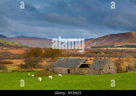 Verlassenen Hof bauten auf machrie Moor, Isle of Arran, Schottland Großbritannien Stockfoto