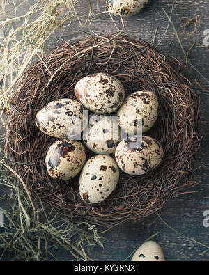 Wachtel Eier im Nest mit Feder und trockenes Heu. Im rustikalen Stil Stockfoto