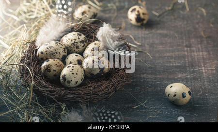 Wachtel Eier im Nest mit Feder und trockenes Heu. Im rustikalen Stil Stockfoto