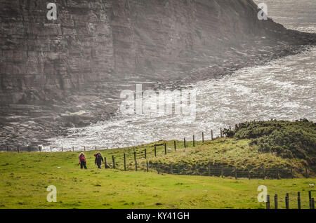 Wanderer, Englands von Küste zu Küste, steile Küste Hügel an der Irischen See, in der Nähe von St. Bienen, England. Tag 1 Wenn in Richtung Westen nach Osten. Stockfoto