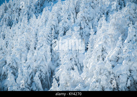 Sugarbush Erholungsort, Sugarbush Nord, Warren, VT, grünen Bergen. Stockfoto