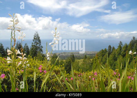 Anzeigen von Candelaria durch die Blumen am Miradouro Da Vista do Rei, Sao Miguel, Azoren, Portugal Stockfoto