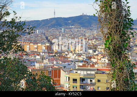 Blick auf die Jardins de Joan Brossa, ein Garten in der Gegend von Montjuic, Barcelona, Katalonien. Stockfoto