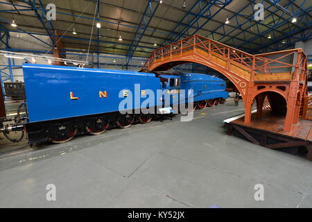 Stockente die rekordverdächtige Lokomotive Stockfoto