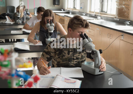 Studenten experimentieren auf Mikroskop im Labor Stockfoto