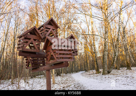 Eine große hölzerne Bird Feeder in Winter Park. Frost und Bäume ohne Laub. Interessante Fotos für die Website über Tiere und Ökologie. Stockfoto