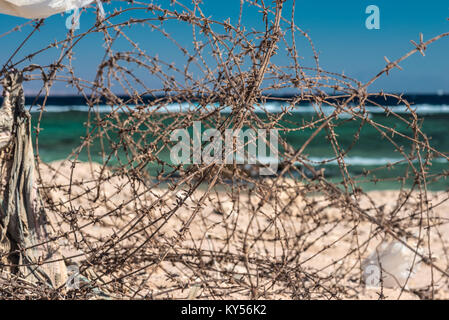 Alten Stacheldraht infront von Meer. Kabel und blauem Himmel mit Wolken. Schutzzaun von Stacheldraht gegen den blauen Himmel und das Meer. Close-up. Stockfoto