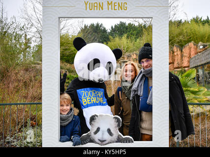 Saint Aignan. 13 Jan, 2018. Besucher posieren für Fotos mit einem Panda Abbildung im Zooparc de Beauval in Saint-Aignan, Frankreich am Jan. 13, 2018. Der erste panda Cub geboren in Frankreich "Yuan Meng' debuts mit der öffentlichkeit am Samstag Morgen. Credit: Chen Yichen) (Lrz/Xinhua/Alamy leben Nachrichten Stockfoto