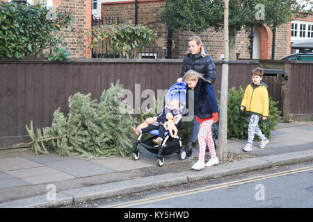 London, Großbritannien. 13 Jan, 2018. Alte Weihnachtsbäume, die in den Straßen von Wimbledon verworfen wurden, bleiben nicht abgeholte durch lokale Behörden, Wochen nach dem Ende der Weihnachtsferien Credit: Amer ghazzal/Alamy leben Nachrichten Stockfoto