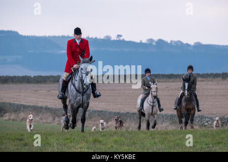 Ancrum, Rawflat/, UK. 13. Januar, 2018. Buccleuch Foxhounds an Rawflat, in der Nähe von Ancrum Bildunterschrift: Huntsman Tim Allen (2014-) mit dem Herzog von buccleuch Hunt's Foxhounds am Samstag, den 13. Januar in den Hügeln in der Nähe von Ancrum, Jedburgh, einer Wahlbeteiligung von rund 60 montiert Anhänger fallen die Tage Jagd. (Bild: Rob Grau/Alamy leben Nachrichten Stockfoto