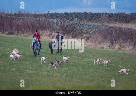 Ancrum, Rawflat/, UK. 13. Januar, 2018. Buccleuch Foxhounds an Rawflat, in der Nähe von Ancrum Bildunterschrift: Huntsman Tim Allen (2014-) mit dem Herzog von buccleuch Hunt's Foxhounds am Samstag, den 13. Januar in den Hügeln in der Nähe von Ancrum, Jedburgh, einer Wahlbeteiligung von rund 60 montiert Anhänger fallen die Tage Jagd. (Bild: Rob Grau/Alamy leben Nachrichten Stockfoto