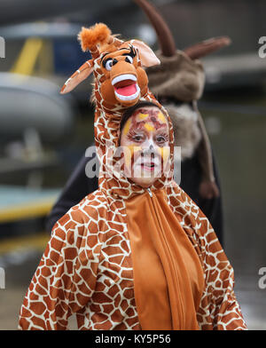 Berlin, Deutschland. 13 Jan, 2018. Ein Teilnehmer nimmt an den Winter schwimmen Karneval am Oranke See, Nordosten Berlin, Deutschland, Jan. 13, 2018. Über 100 Winter schwimmen Enthusiasten und mehr als 1.000 Besucher waren im Winter schwimmen Karneval hier am Samstag angezogen. Credit: Shan Yuqi/Xinhua/Alamy leben Nachrichten Stockfoto