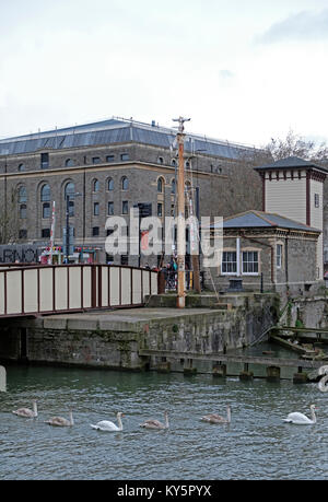 Bristol, UK. 13. Januar, 2018. UK Wetter: eine Familie von Schwäne schwimmen in Bristol City Docks an einem kalten und trüben Samstag Nachmittag. Keith Ramsey/Alamy leben Nachrichten Stockfoto