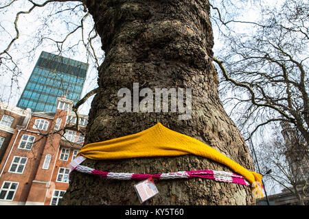 London, Großbritannien. Januar 2018. Ein großer Baum in Euston Square Gardens, der von HS2 Ltd. Gefällt werden soll. Reifes London Flugzeug, Red Oak, Common Lime, Im Rahmen der Vorbereitungen für die HS2-Bahnstrecke sollen vor dem Bahnhof Euston gemeinsame Weißbeam- und Wilddienstbäume gefällt werden, um Platz für temporäre Baustellen und einen verdrängten Taxistand zu schaffen. Viele der Bäume wurden "mit Garn bombardiert", mit handgestrickten Schals umwickelt, um die Aufmerksamkeit auf ihr Schicksal zu lenken. Kredit: Mark Kerrison/Alamy Live Nachrichten Stockfoto