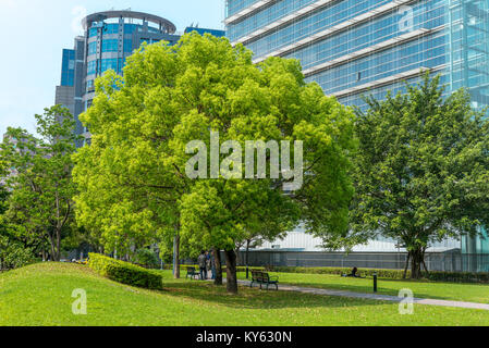 Park mit einem großen Baum in der Stadt Stockfoto