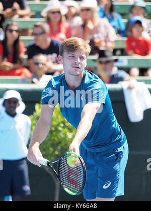 Melbourne, Australien - 9. Januar 2018: Tennis Spieler David Goffin Vorbereitung auf die Australian Open am Kooyong Classic Ausstellung Turnier Stockfoto