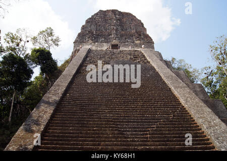 Breite Treppe der Großen Pyramide in Tikal, Guatemala Stockfoto