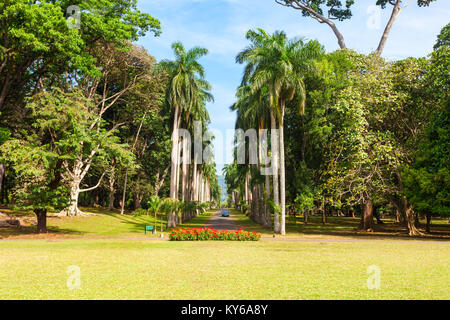 KANDY, SRI LANKA - 21. FEBRUAR 2017: peradeniya Royal Botanic Gardens in der Nähe von Kandy, Sri Lanka. Peradeniya Royal Botanic Gardens sind die la Stockfoto