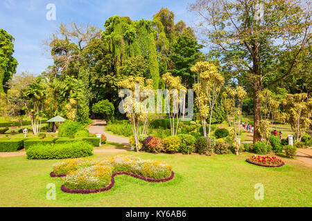 KANDY, SRI LANKA - 21. FEBRUAR 2017: peradeniya Royal Botanic Gardens in der Nähe von Kandy, Sri Lanka. Peradeniya Royal Botanic Gardens sind die la Stockfoto