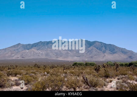 Ein Blick auf die fernen Berge in der Mojave Wüste im südlichen Kalifornien unter strahlend blauem Himmel Stockfoto