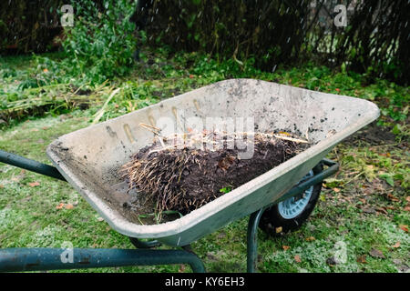 Verlassene Einkaufswagen Garden in einem Hinterhof unter strömenden Regen Stockfoto